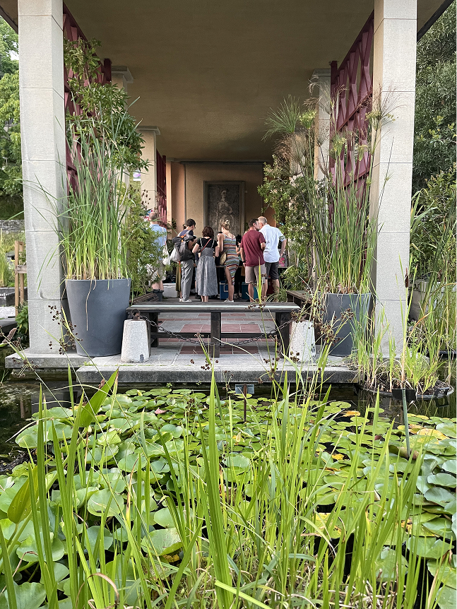 Vue sur le bar au-dessus de l