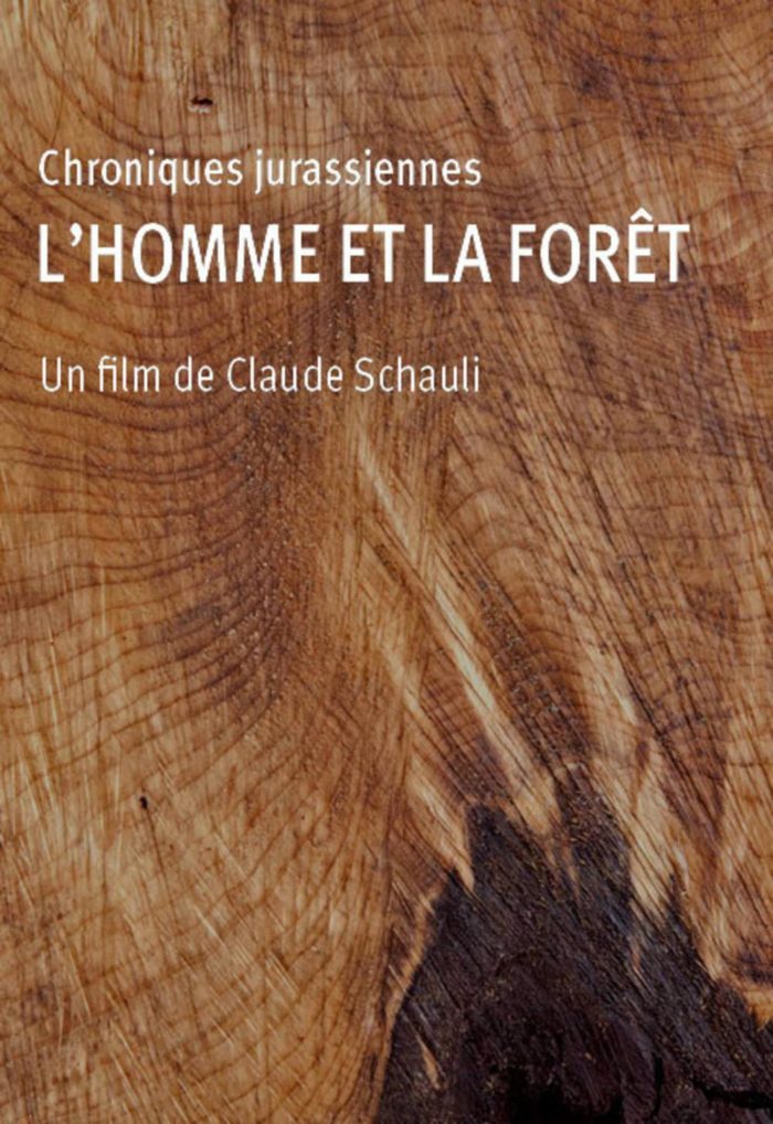 Poster du film "Lhomme de la forêt"