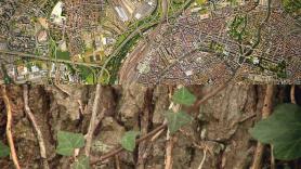 Poster du court-métrage "Photosynthèse"